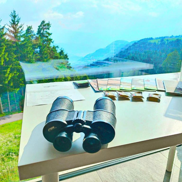 Vidora Apartments - Penthouse-Apartment - 8