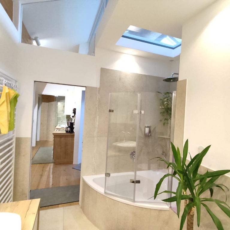 Vidora Apartments - Apartment - 4