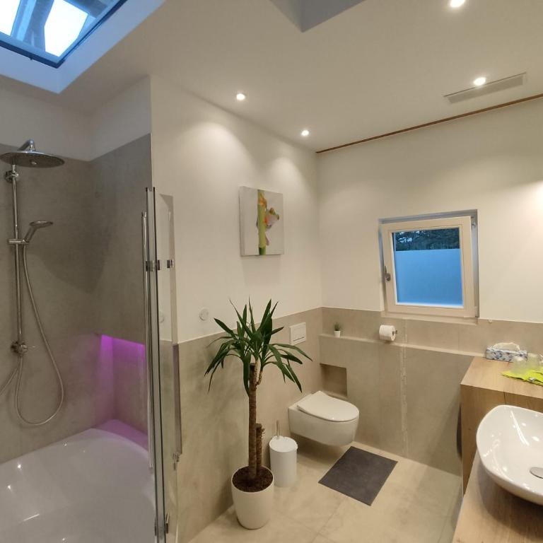 Vidora Apartments - Apartment - 2