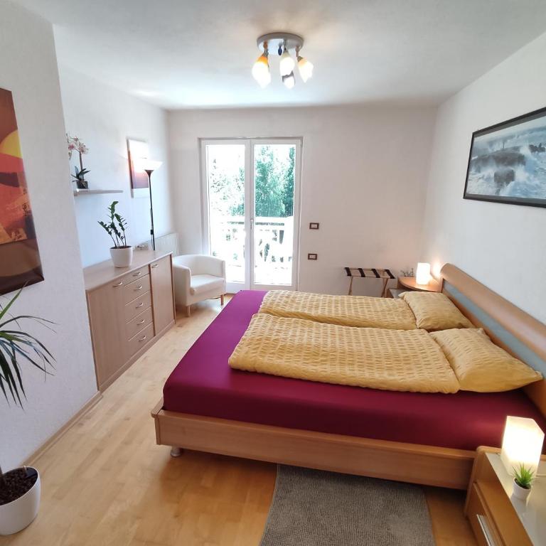 Vidora Apartments - Apartment - 3