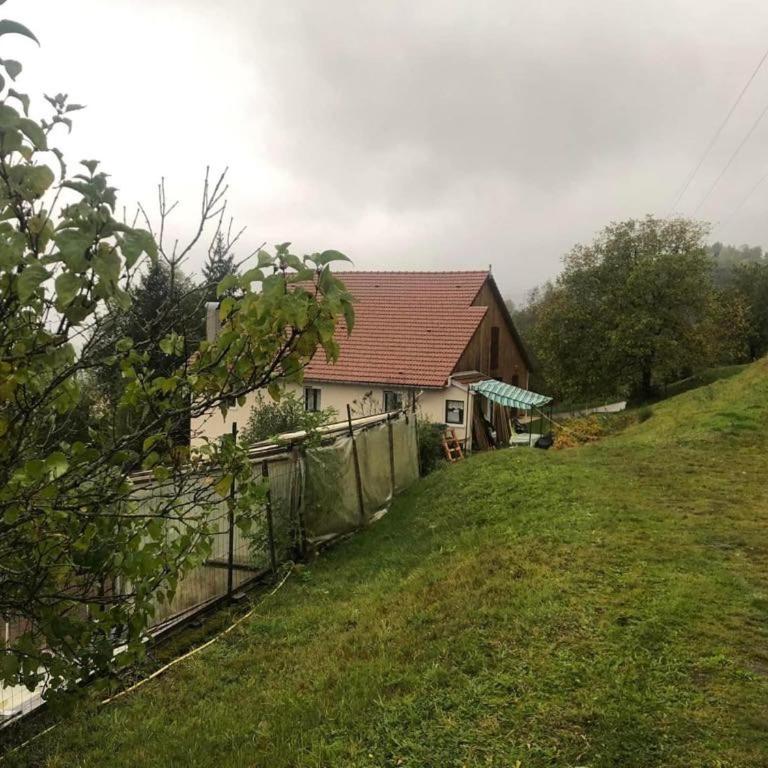 Grande maison à à Bresse avec jacuzzi cheminée et jardin Idéal pour les familles et amis - Haus mit 7 Schlafzimmern - 39