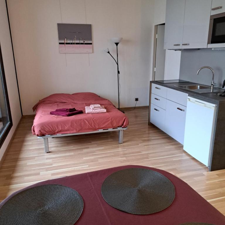 L'Emeraude du lac le calme au coeur d'Annecy - Appartement 1 Chambre - 9