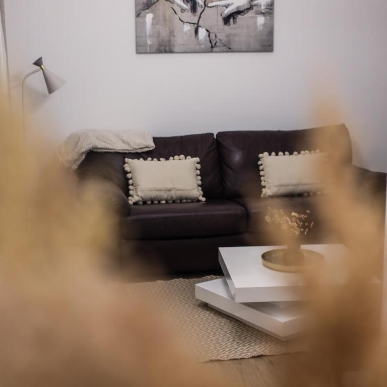 Apartman Jelena II - Apartman sa 1 Spavaćom Sobom - 4
