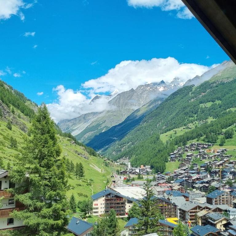 Haus Bodmen A, Studio Riffelsee - Apartamento de 1 dormitorio - 9