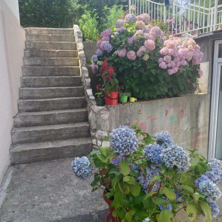 Green Garden Sarajevo - Apartman sa Pogledom na Planinu - 10