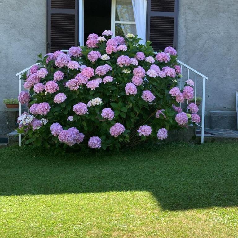 La Ca del Bicc - Maison 2 Chambres - 12