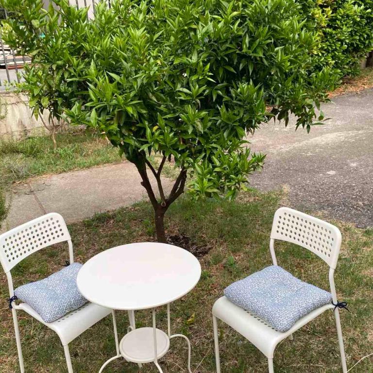 Apartman Ela Podgorica - Apartman sa 1 Spavaćom Sobom - 2