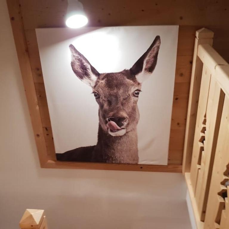 Duplex dans chalet, vue de rêve, 6 pers, 2 nuits minimum - Appartamento con 2 Camere da Letto - 4