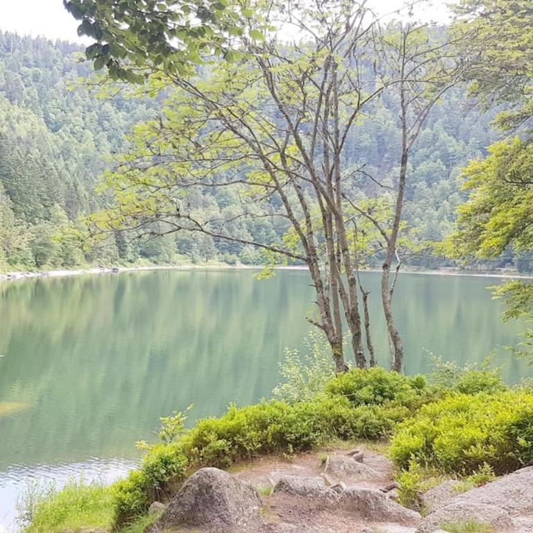 Duplex dans chalet, vue de rêve, 6 pers, 2 nuits minimum - Appartamento con 2 Camere da Letto - 13
