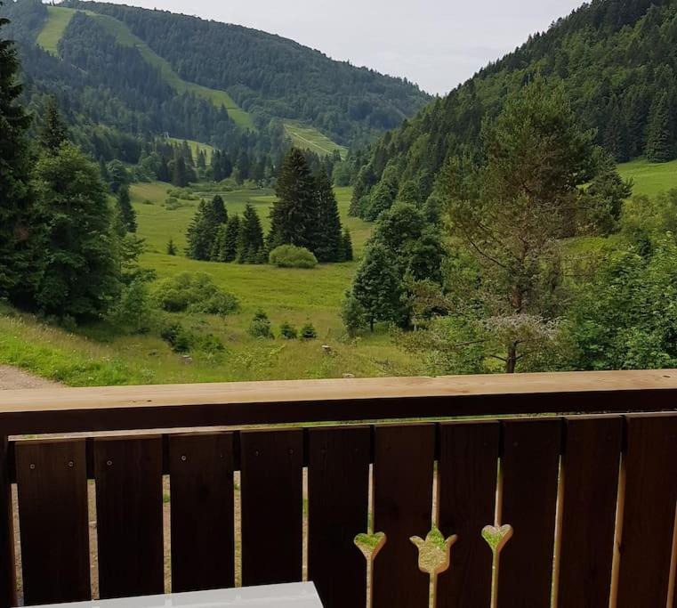 Duplex dans chalet, vue de rêve, 6 pers, 2 nuits minimum - Appartamento con 2 Camere da Letto - 14