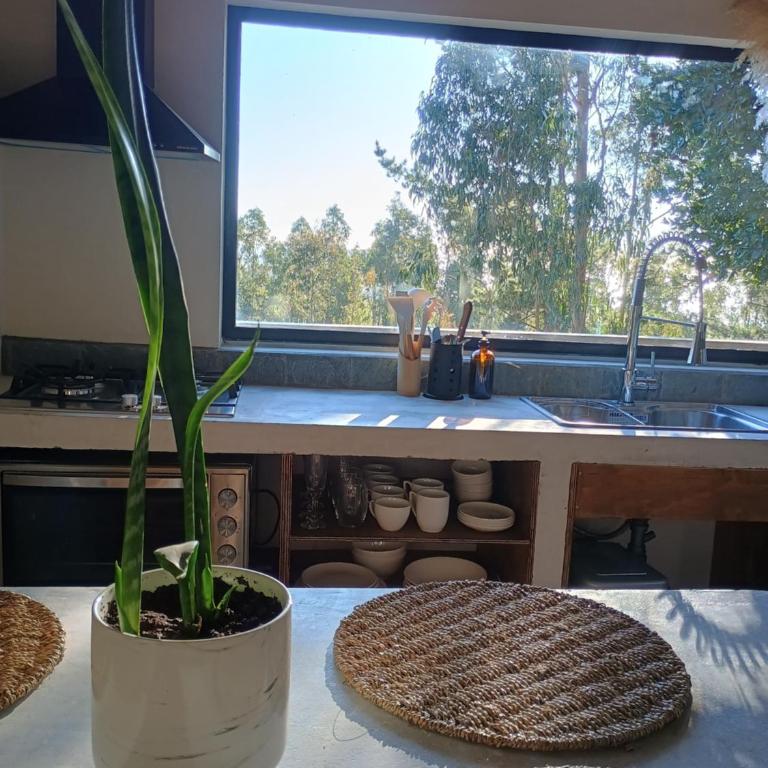 Cabaña Peumo by Alto Curanipe - One-Bedroom House - 12