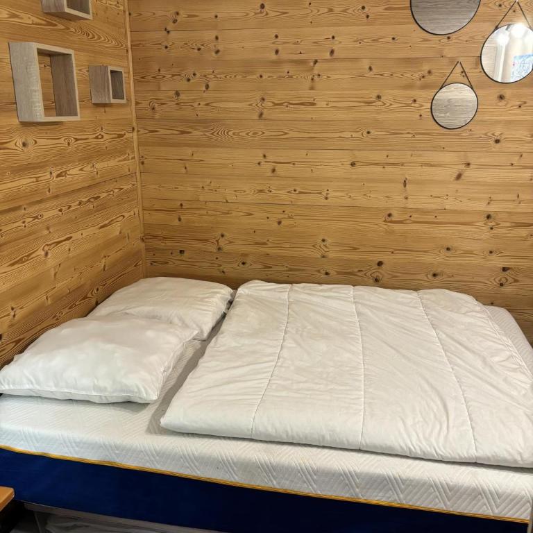 logement chaleureux 1 chamb pied des pistes - Appartement 1 Chambre - 14