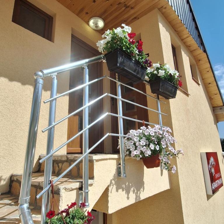 Apartments Orchidea - Studio with Balcony - 12