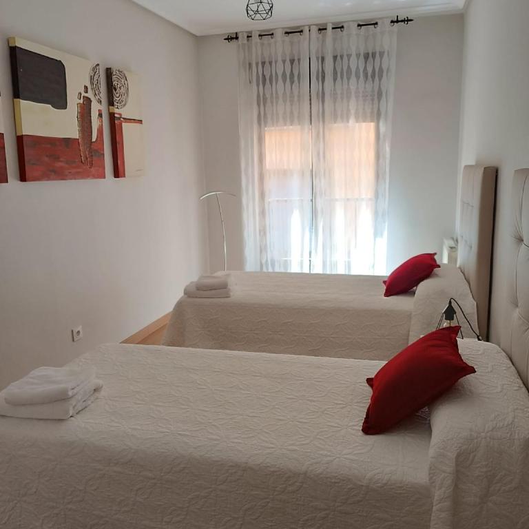 Laurel 12 - Apartamento Superior - 20