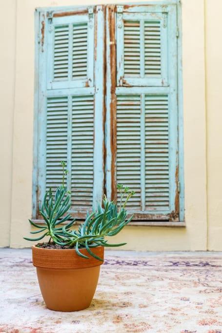 Nice - Amazing flat to 10 min to sea - Garden - Appartement 3 Chambres - 85