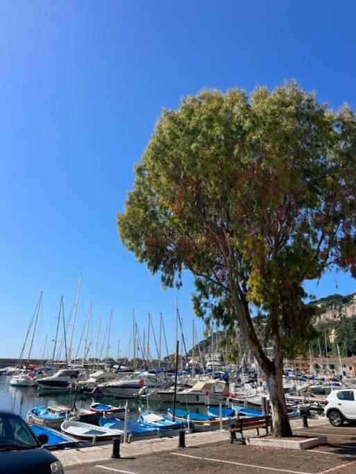 Nice - Amazing flat to 10 min to sea - Garden - Appartement 3 Chambres - 37