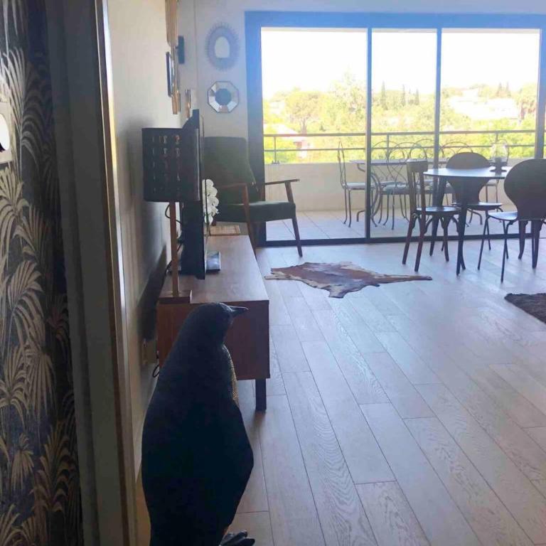 Fréjus Saint-Raphaël - Au calme à 5 min du centre et des plages - Apartment mit 1 Schlafzimmer - 15