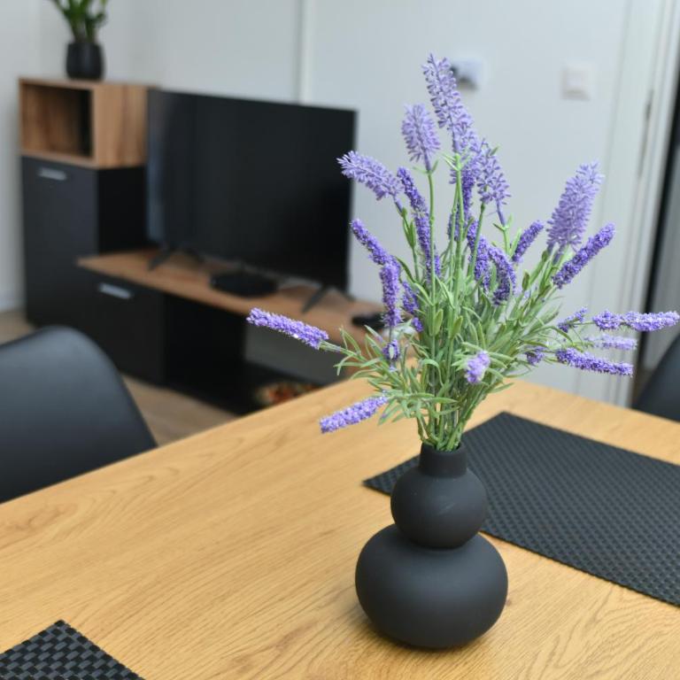 Apartman M46 - One-Bedroom Apartment - 12