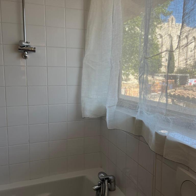 Papissime vue palais des papes clim parking - Apartment mit 2 Schlafzimmern - 23