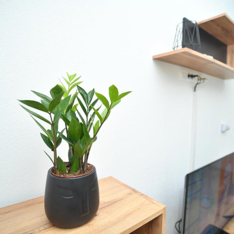 Apartman M46 - One-Bedroom Apartment - 23