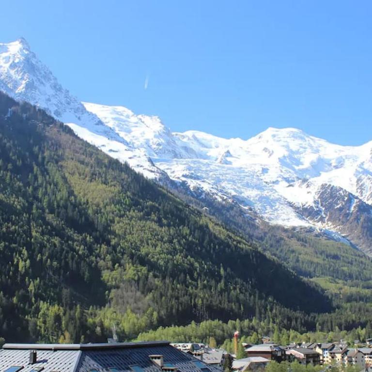 Les 2 Chamois - Duplex à Chamonix - Appartement 2 Chambres - 7