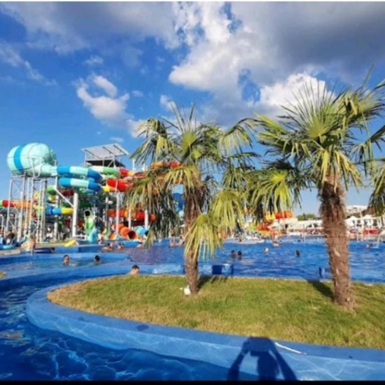 Nektar 88 - Apartman sa 1 Spavaćom Sobom - 2