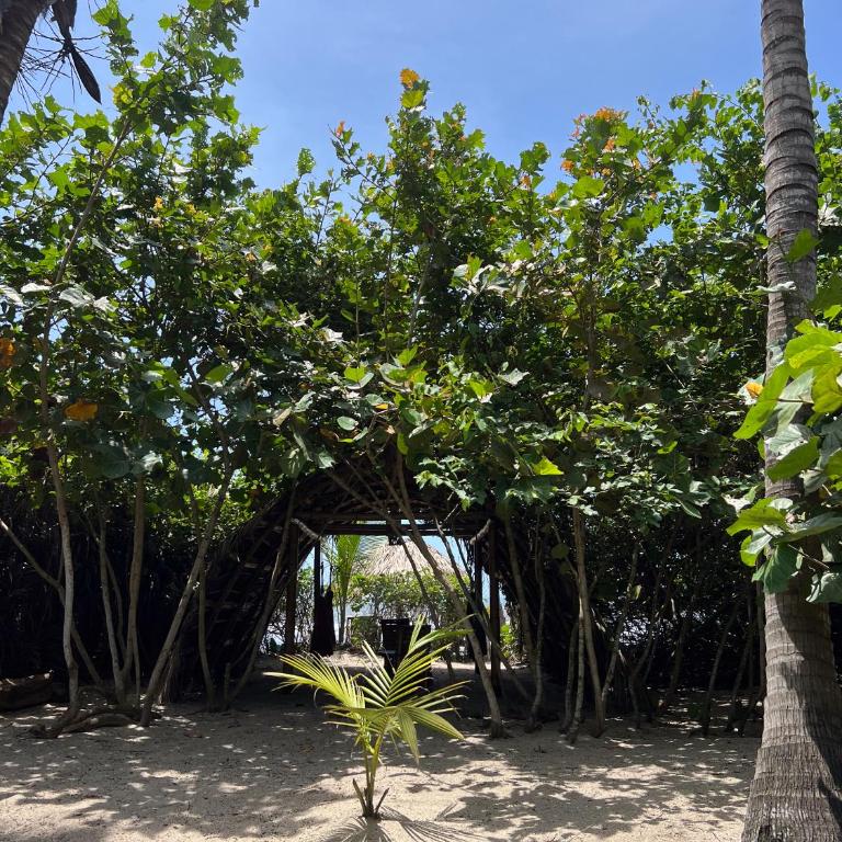 Lote 10 Tayrona Glamping - King Room with Sea View - 3