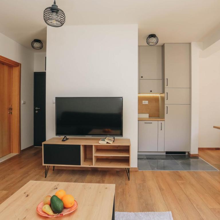 Toplish 1 Top holiday in Budva - Apartman sa 1 Spavaćom Sobom - 14