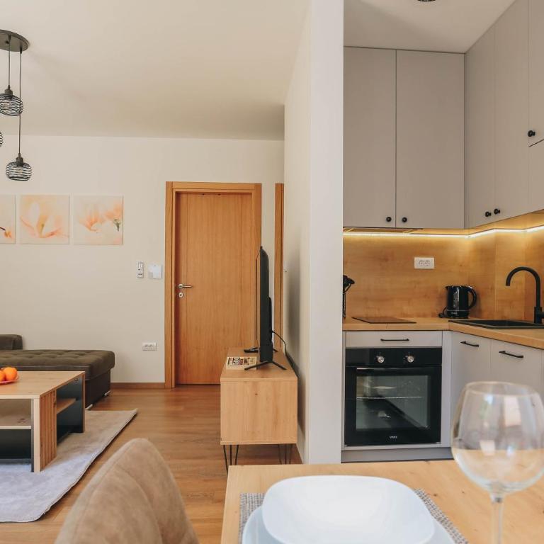 Toplish 1 Top holiday in Budva - Apartman sa 1 Spavaćom Sobom - 24