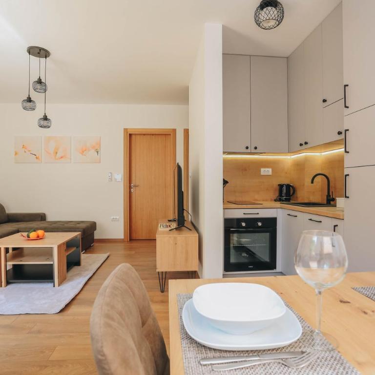 Toplish 1 Top holiday in Budva - Apartman sa 1 Spavaćom Sobom - 11