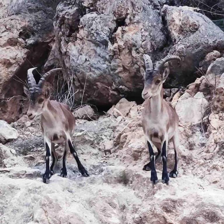 Las Plomas 2 - Villa de 3 dormitorios - 4