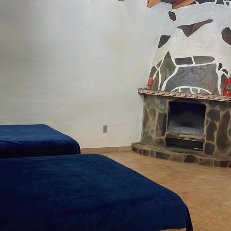 Cabaña en bosque de Mazamitla,Jalisco - Casa de 3 dormitorios - 3