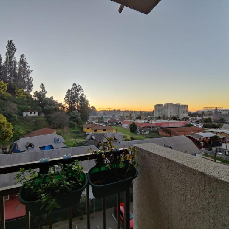 Depto Aromo 2D 1B factura empresas - Apartamento de 2 dormitorios - 15