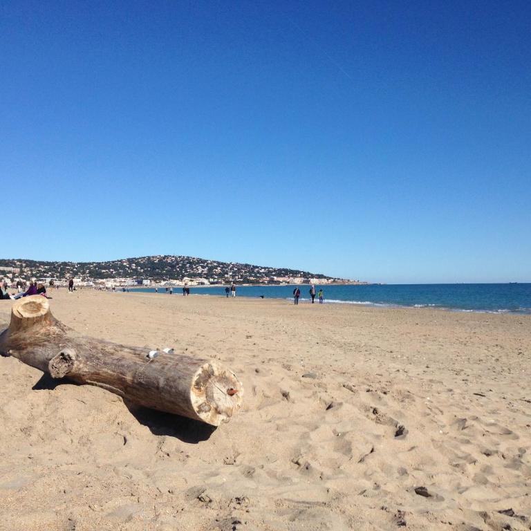 Appartement T3 face à la mer avec terrasse et parking privé à Sète - FR-1-338-587 - Apartment - 15