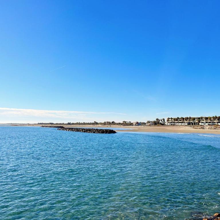 Appartement T3 face à la mer avec terrasse et parking privé à Sète - FR-1-338-587 - Apartment - 16