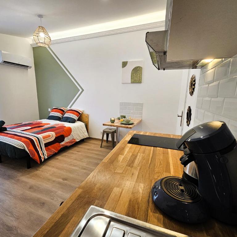 Tout confort ! Ville, Climatisation, Parking, Wifi, Calme, TV - Apartamento de 1 dormitorio - 7