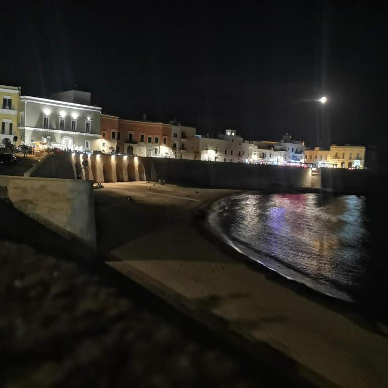 Marine Place Gallipoli - One-Bedroom Apartment - 29