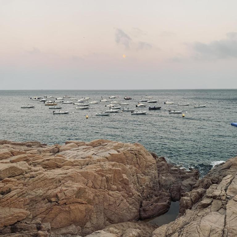 Precioso Duplex en Cala Salionç Tossa de Mar - Apartamento de 2 dormitorios - 18