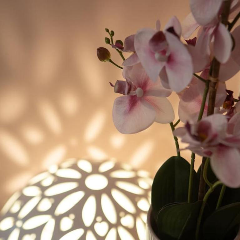 EnJoy Home - Appartamento elegante con giardino - Appartamento con 1 Camera da Letto - 12