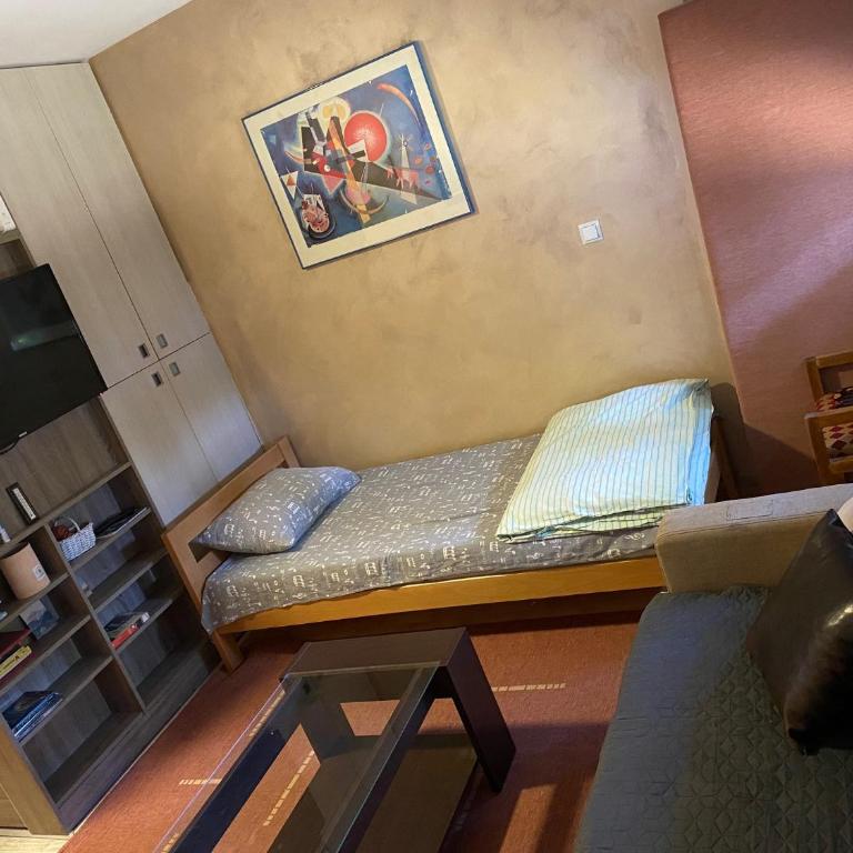 Apartman Minja - Apartman sa 1 Spavaćom Sobom - 8