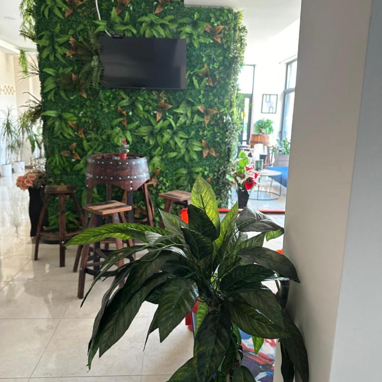 Apartman Mratinković Zlatibor - Apartman sa 1 Spavaćom Sobom - 16