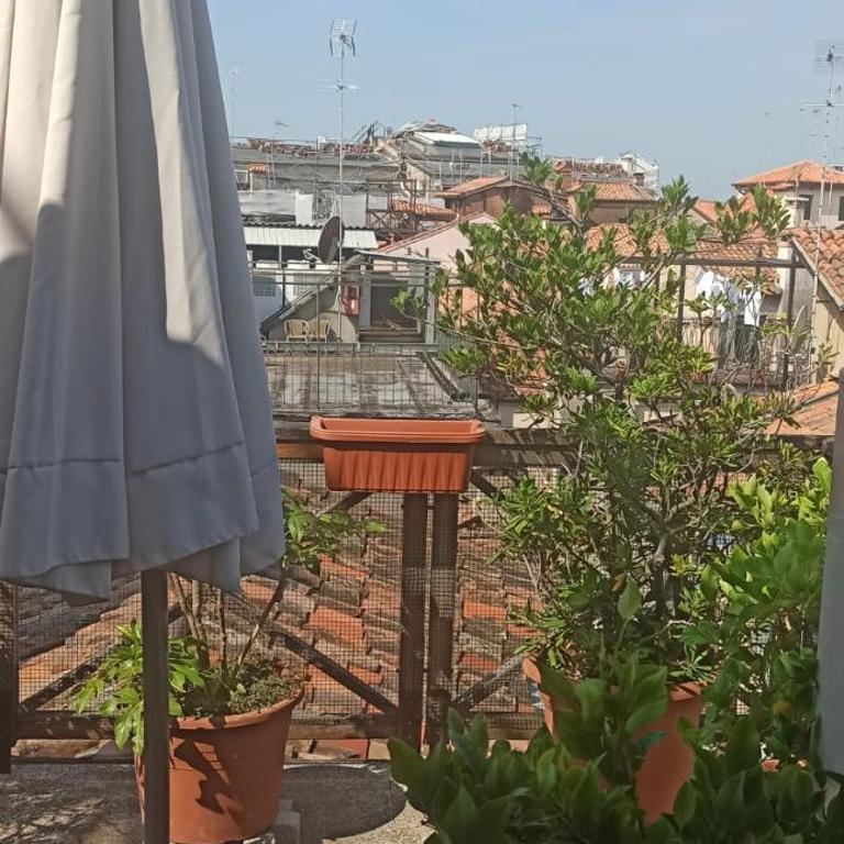 Sunbeam Palace - Appartamento - 12