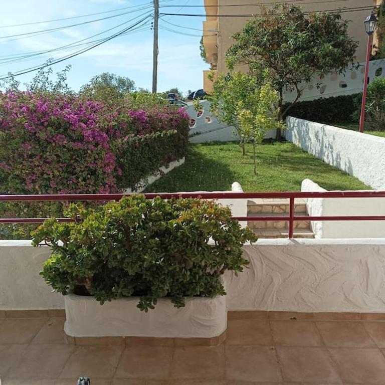 Casa Premium frente al Mar con 2 parkings - Apartamento - 45
