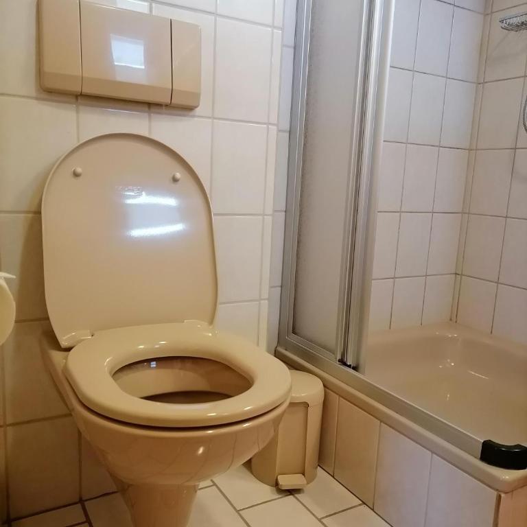 Birkenheim Widmann - Apartment mit 3 Schlafzimmern - 9