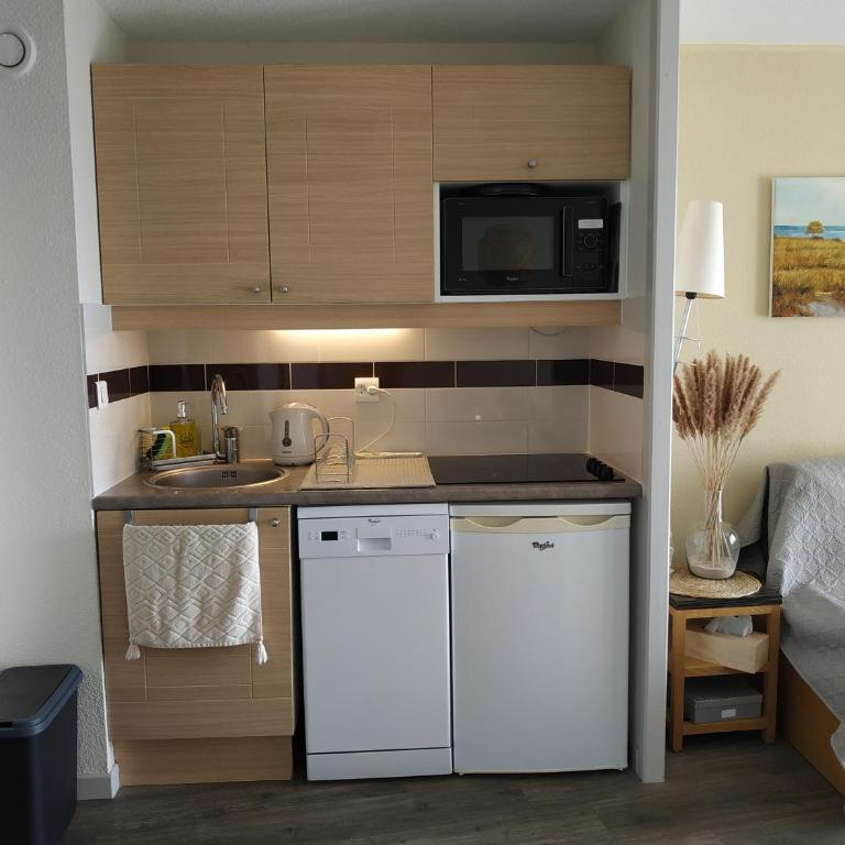 La Perle de l'Océan, à deux pas de la mer sans route à traverser, parking privé, piscine - Appartement 1 Chambre - 10