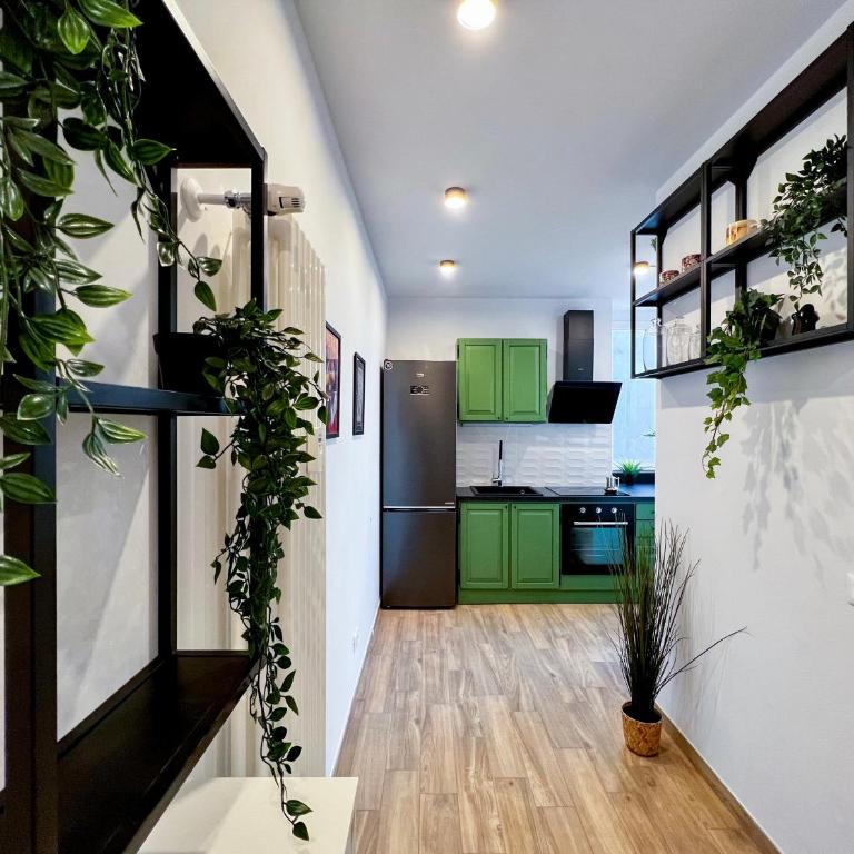 Repetti Suites - Two Adjacent & Independent Apartments 10 minutes to Milan City Centre & Linate Airport - Appartamento con 1 Camera da Letto - 16