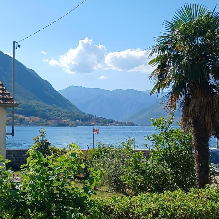 Apartments Tiha noć Kotor - One-Bedroom Apartment - Sea Side - 10