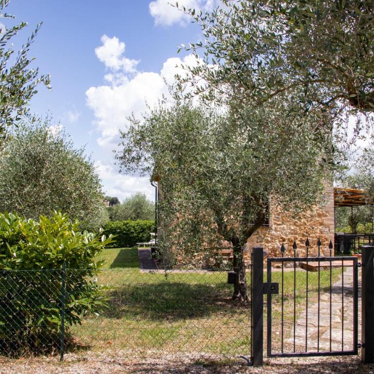 La Capanna di Montauto - Casa con 1 Camera da Letto - 13