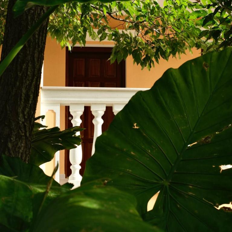 Domus Aurea - Junior Suite con Terrazza - 16