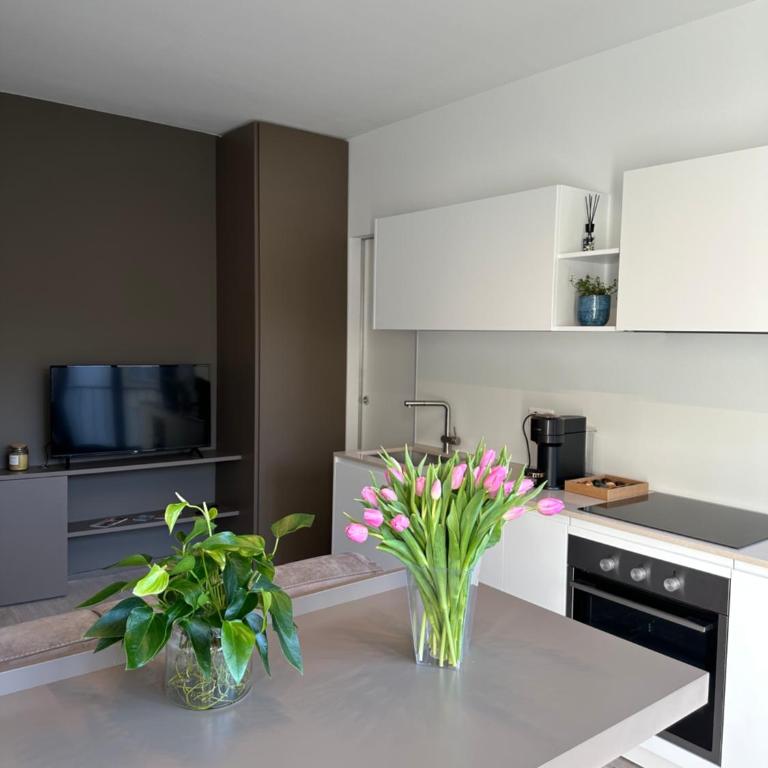 Live Lugano - Via A Riva - Appartamento Superior con 1 Camera da Letto - 1